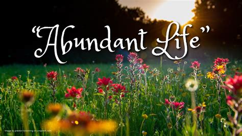 abundant life dreams|Abundant Life Dreams